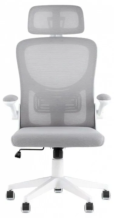 Кресло компьютерное TopChairs Airone