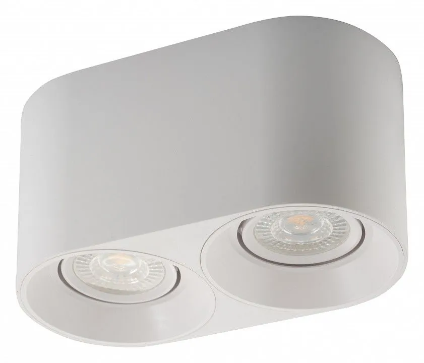 Накладной светильник Denkirs DK3040 DK3036-WH