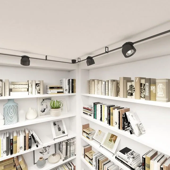 Накладной светильник Denkirs BELTY SPOT DK5541-BK Накладной светильник Denkirs BELTY SPOT DK5541-BK