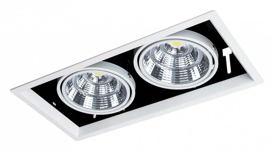 Встраиваемый светильник Arte Lamp Merga A8450PL-2WH