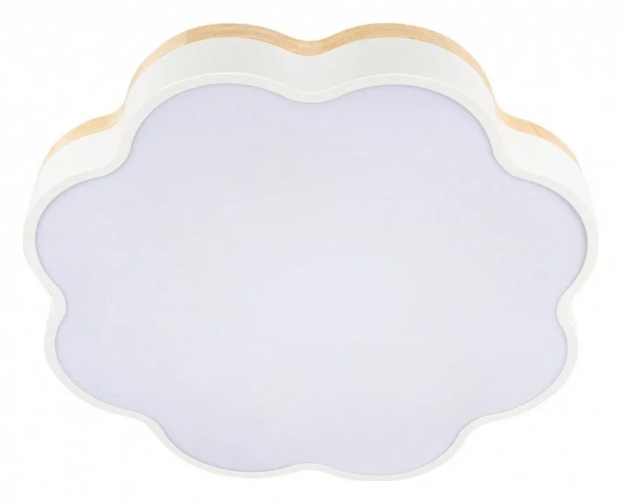 Накладной светильник Loft it Axel 10225/36 White