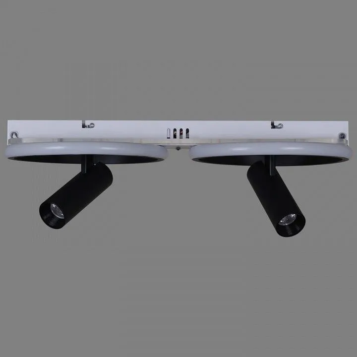 Накладной светильник Reluce 77804 77804-3.3-2+2 Накладной светильник Reluce 77804 77804-3.3-2+2