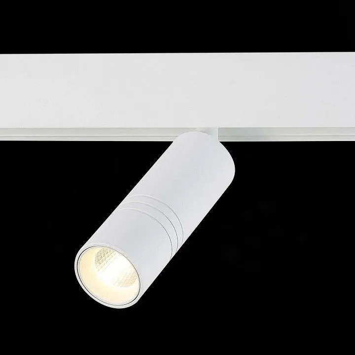 Светильник на штанге ST-Luce Lemmi ST365.536.12