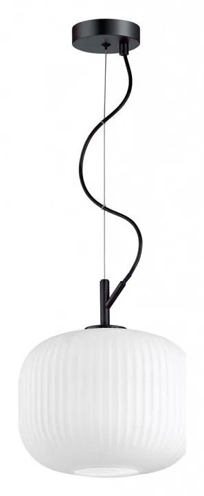 Подвесной светильник Odeon Light Roofi 4753/1
