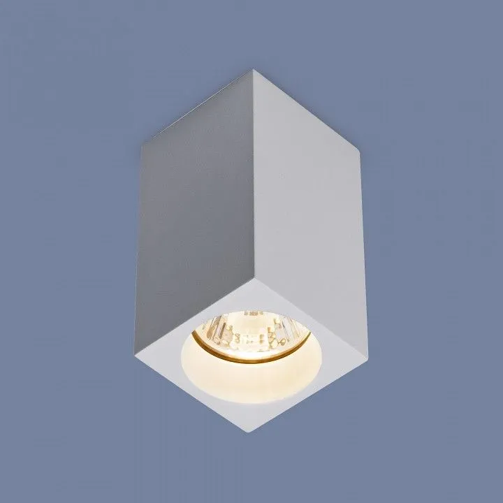 Накладной светильник Elektrostandard 1085 GU10 a040989