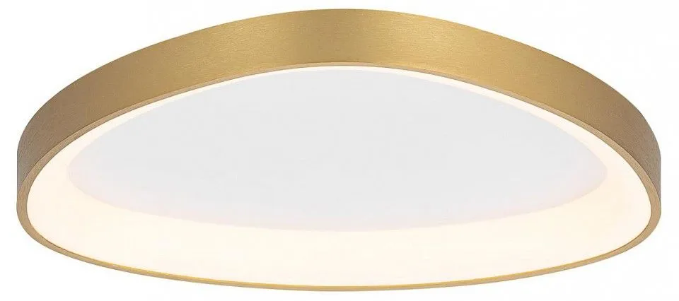 Накладной светильник Citilux GENKA SMART CL756A142