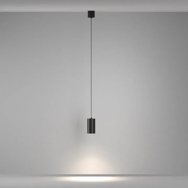 Подвесной светильник Maytoni Technical Вол P100PL-20W4K-B