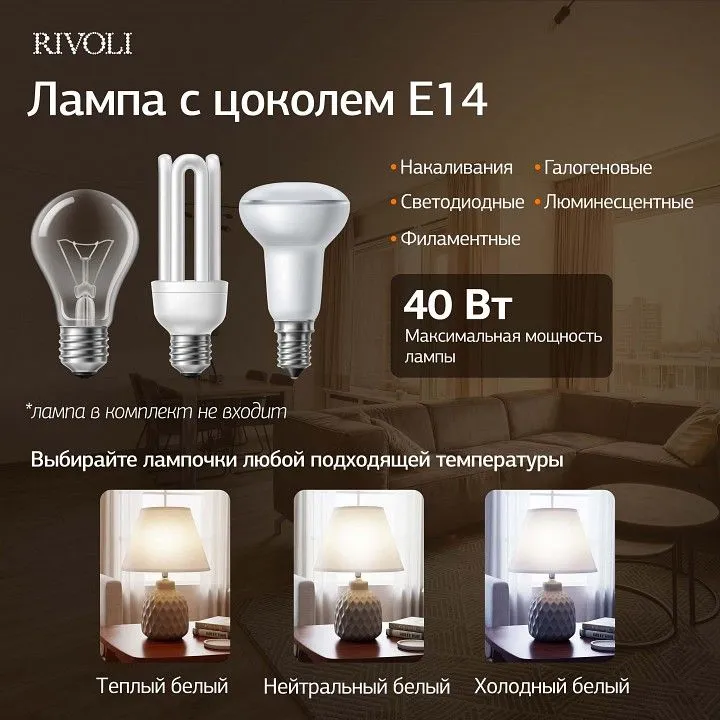 Настольная лампа декоративная Rivoli Muriel 7550-502