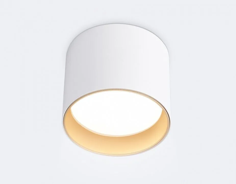 Накладной светильник Ambrella Light TN TN5304