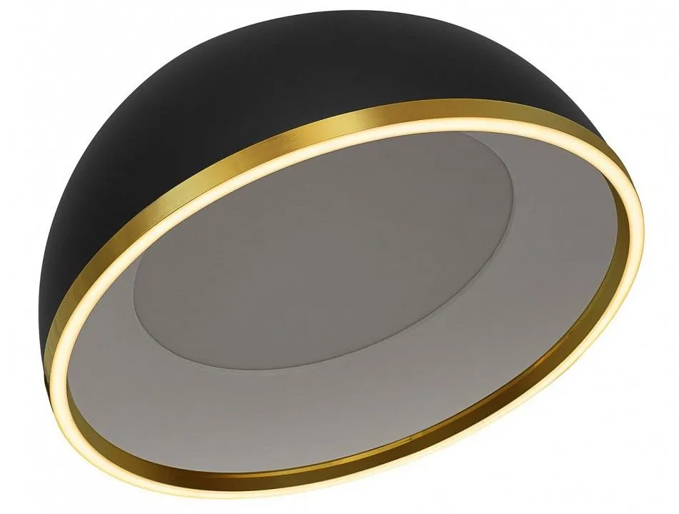 Накладной светильник Citilux FLOOM CL736151
