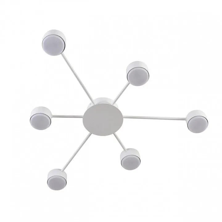 Потолочная люстра Lumion TORINA 8343/6C