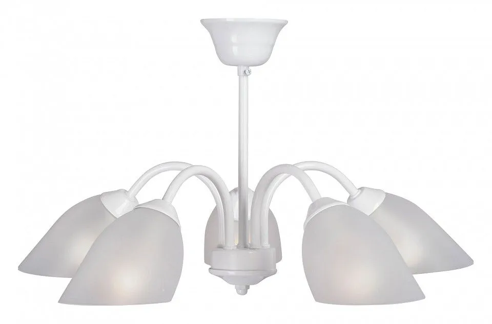 Люстра на штанге Vitaluce V3336 V3336-0/5PL