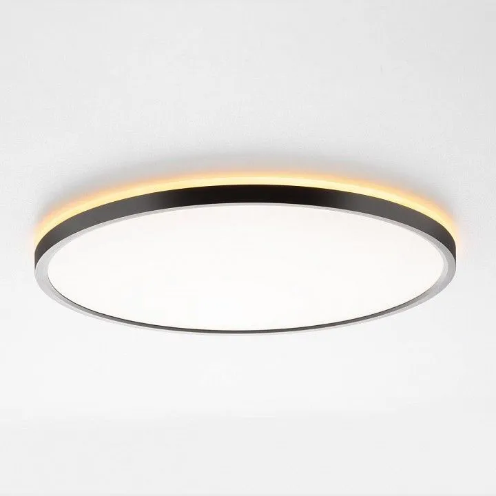 Накладной светильник Citilux NORMA CL749401