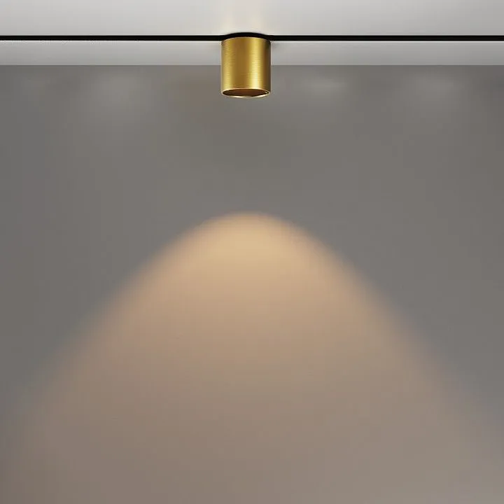 Светильник на штанге Maytoni Technical Альфа С TR132-2-7W3K-BS