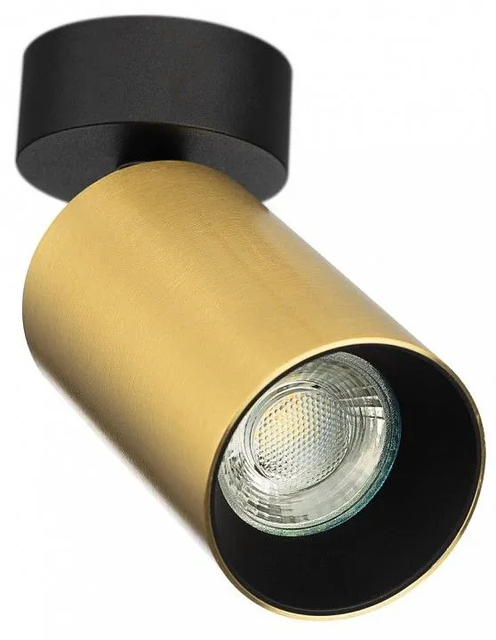 Накладной светильник Citilux AXEL CL512212