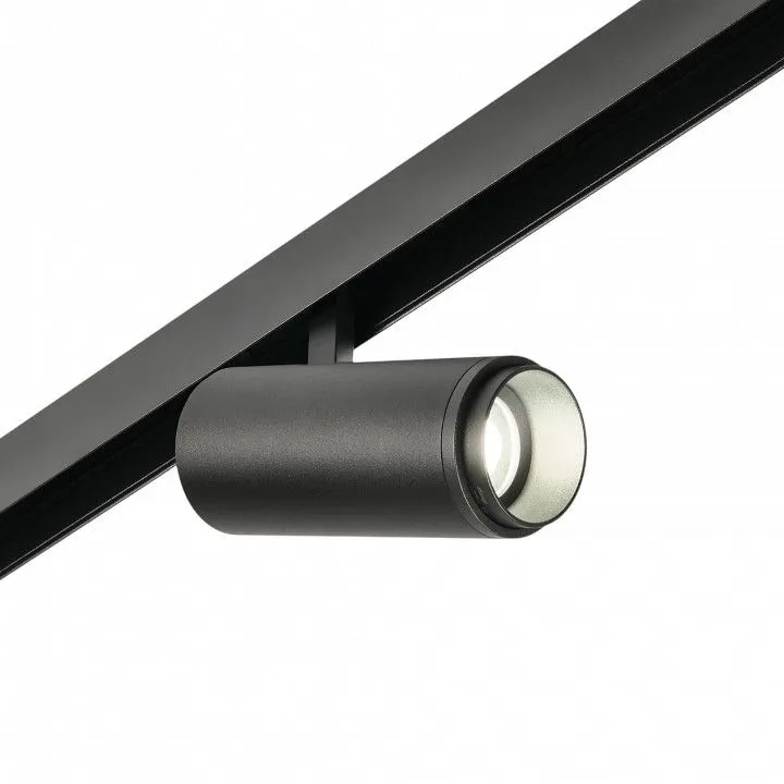 Светильник на штанге MyFar Technical MT0222-20W3K-S-B