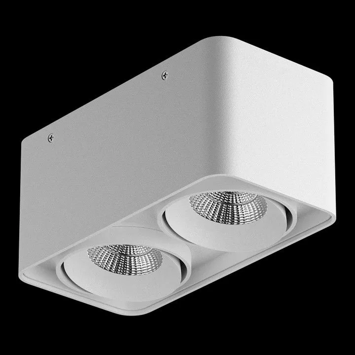 Накладной светильник Lightstar Monocco 052126