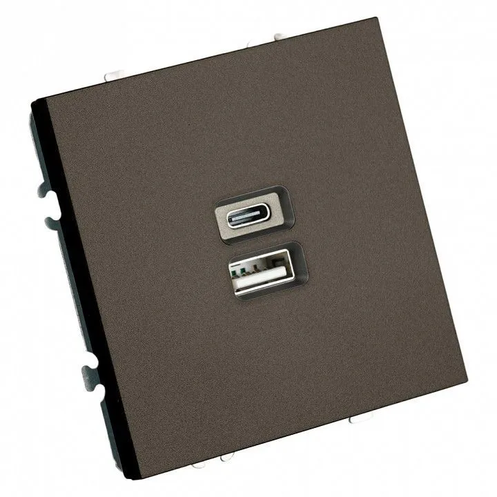 Розетка 2хUSB type A и C без рамки Stekker Эмили 49931