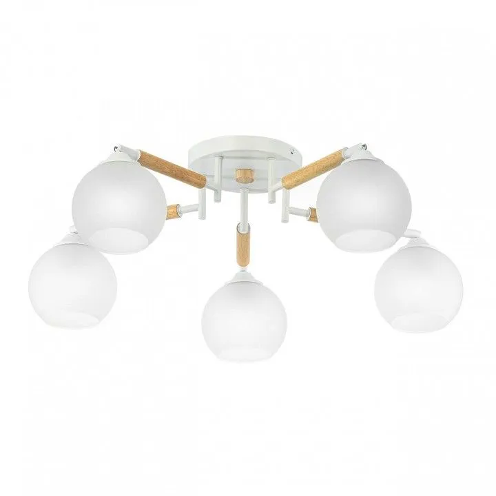 Потолочная люстра Citilux Tika CL133150