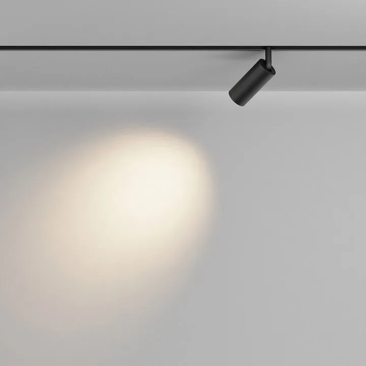 Светильник на штанге Maytoni Technical Фокус TR032-2-5W2.7K-M-B