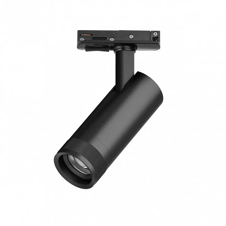 Светильник на штанге Lightstar Canno Pro C4127SS