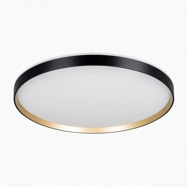 Накладной светильник Citilux ETALON CL750501R