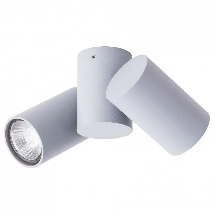 Спот Arte Lamp Gavroche A1511PL-2GY