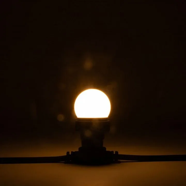 Лампа светодиодная PROFESSIONAL E27 220В 2Вт LAMP1-2WW