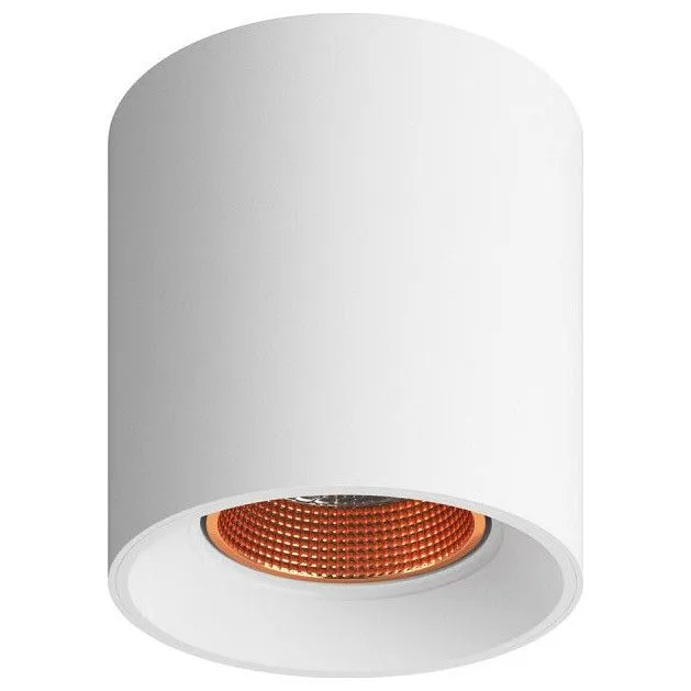 Накладной светильник Denkirs DK3020WW DK3090-WBR Накладной светильник Denkirs DK3020WW DK3090-WBR