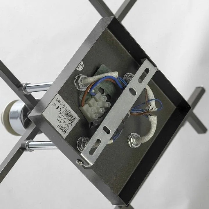 Потолочная люстра Lussole Костанзо LSL-9007-09