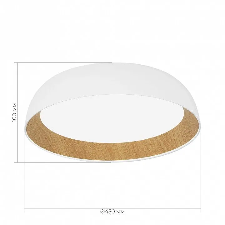 Накладной светильник EVOLUCE MUSE SLE1812-502-01