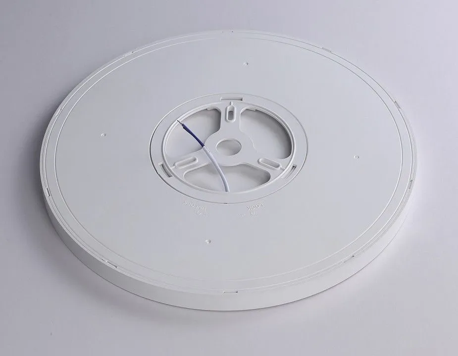 Накладной светильник Ambrella Light FZ FZ1955