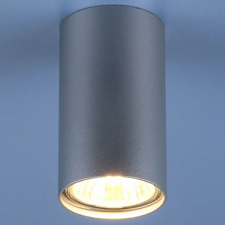 Накладной светильник Elektrostandard 1081 a037714