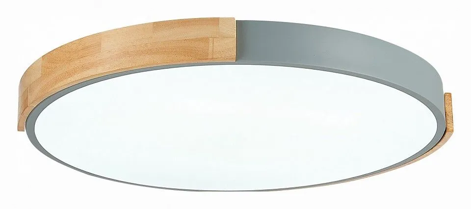 Накладной светильник EVOLUCE Delia SLE201372-01