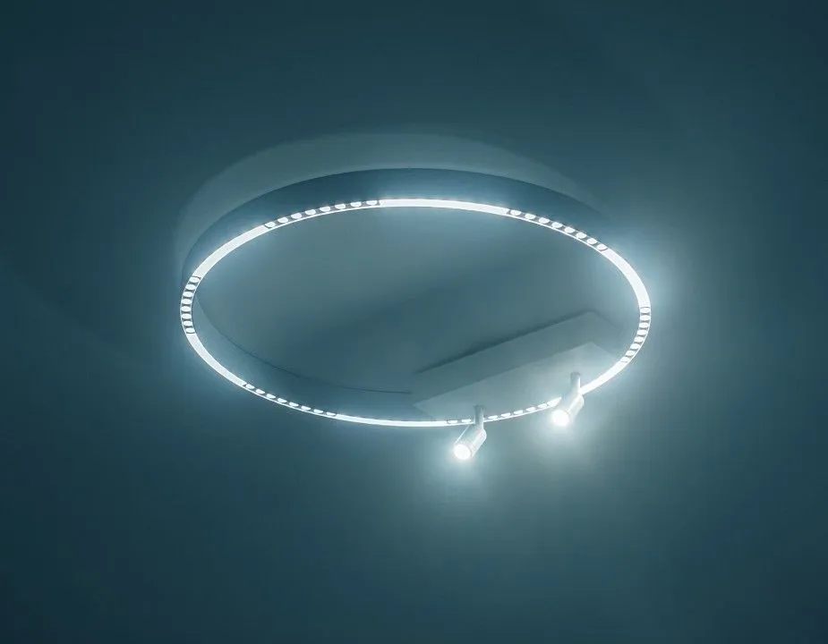 Накладной светильник Ambrella Light FL FL5807