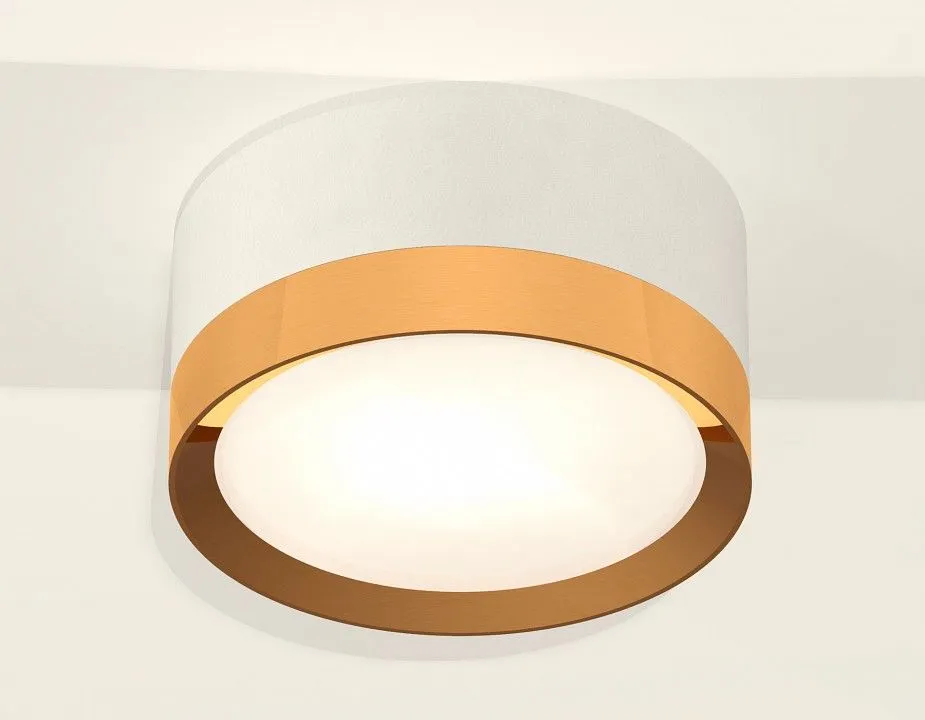 Накладной светильник Ambrella Light XS XS8101005