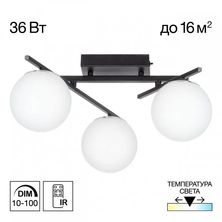 Потолочная люстра Citilux Dorsy CL223132