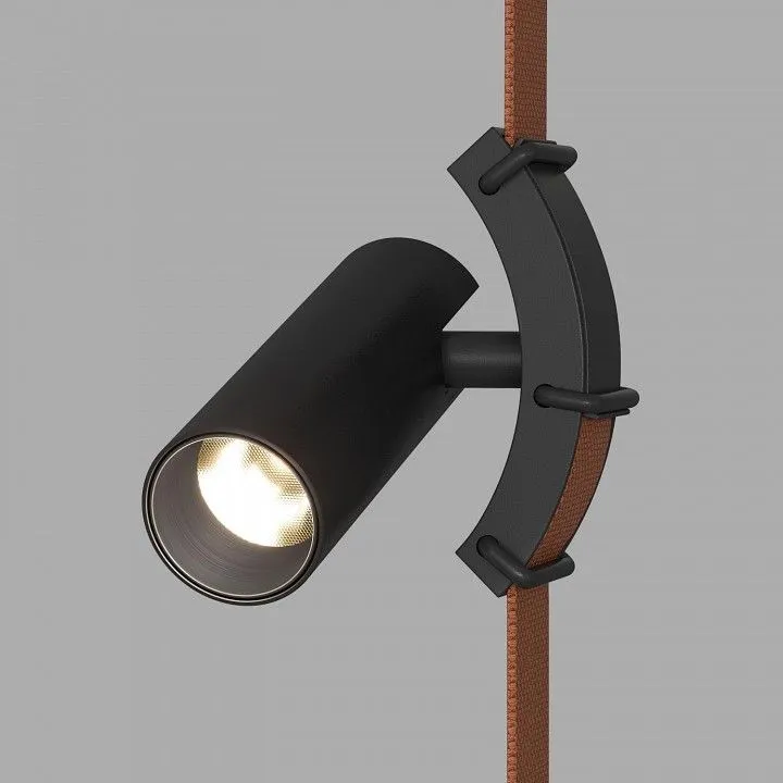 Светильник на штанге Denkirs BELTY SPOT DK5547-BK Светильник на штанге Denkirs BELTY SPOT DK5547-BK