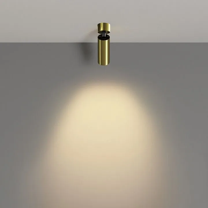Светильник на штанге Maytoni Technical Фокус C055CL-L12W2.7K-W-BS