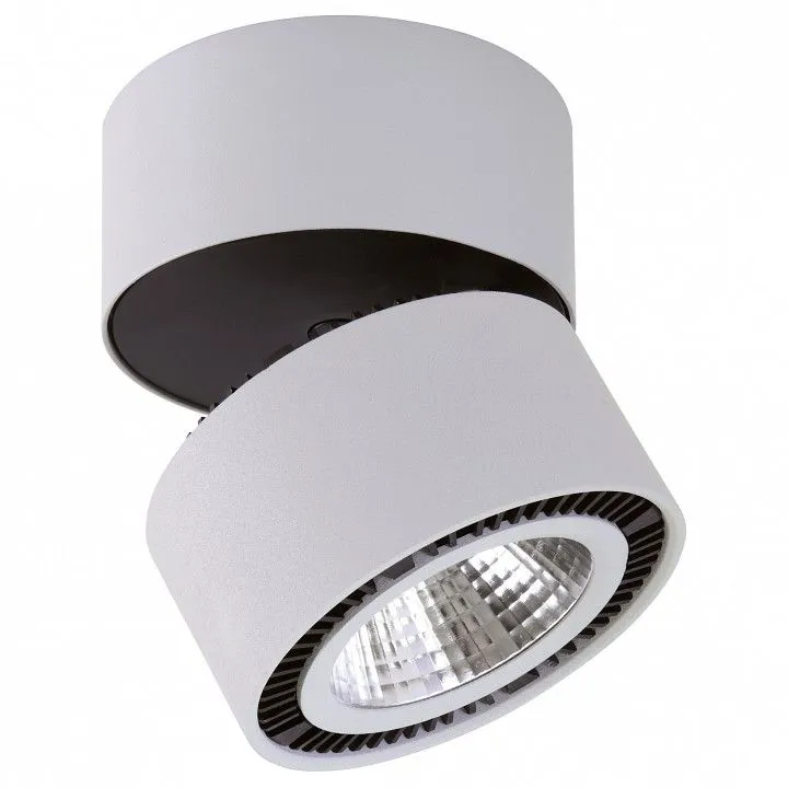 Накладной светильник Lightstar Forte Muro 214830