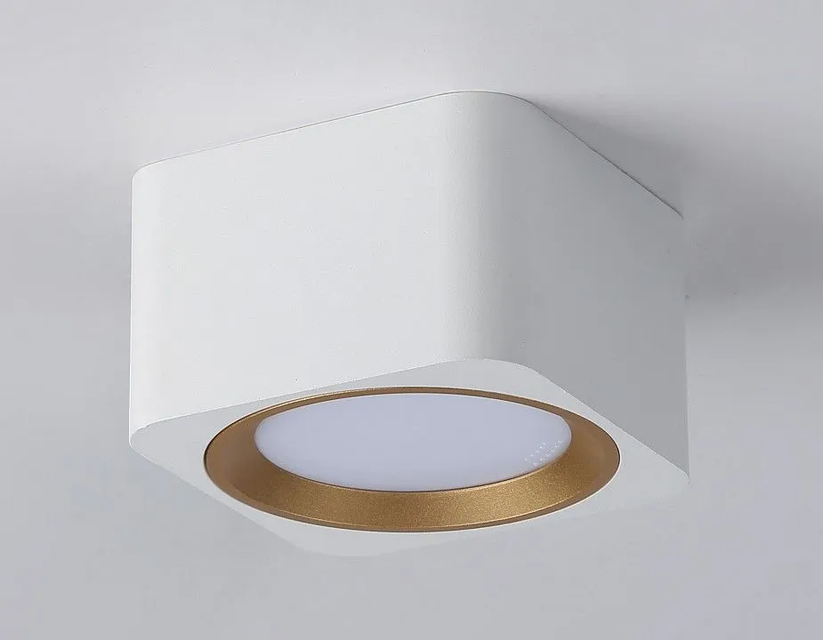 Накладной светильник Ambrella Light TN TN70831