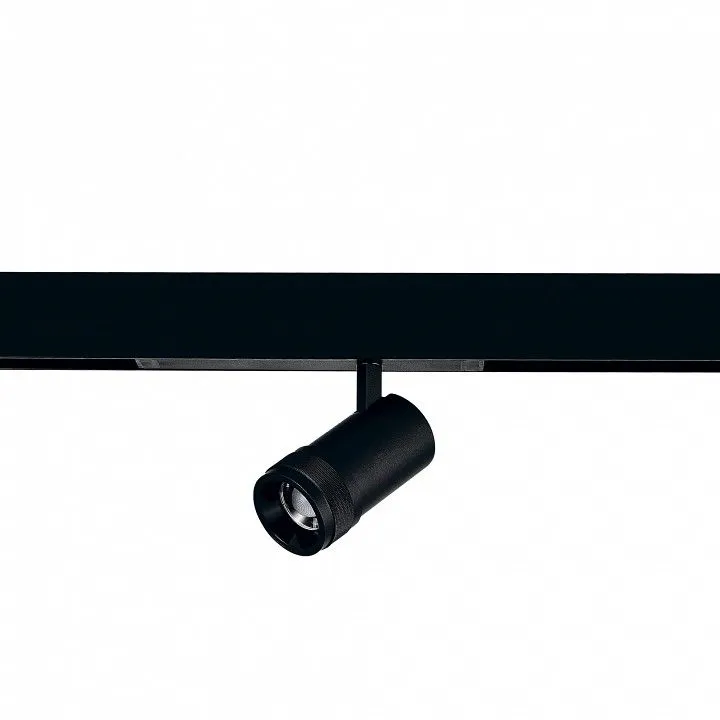 Светильник на штанге ST-Luce SKYLINE 220 ST658.496.20H