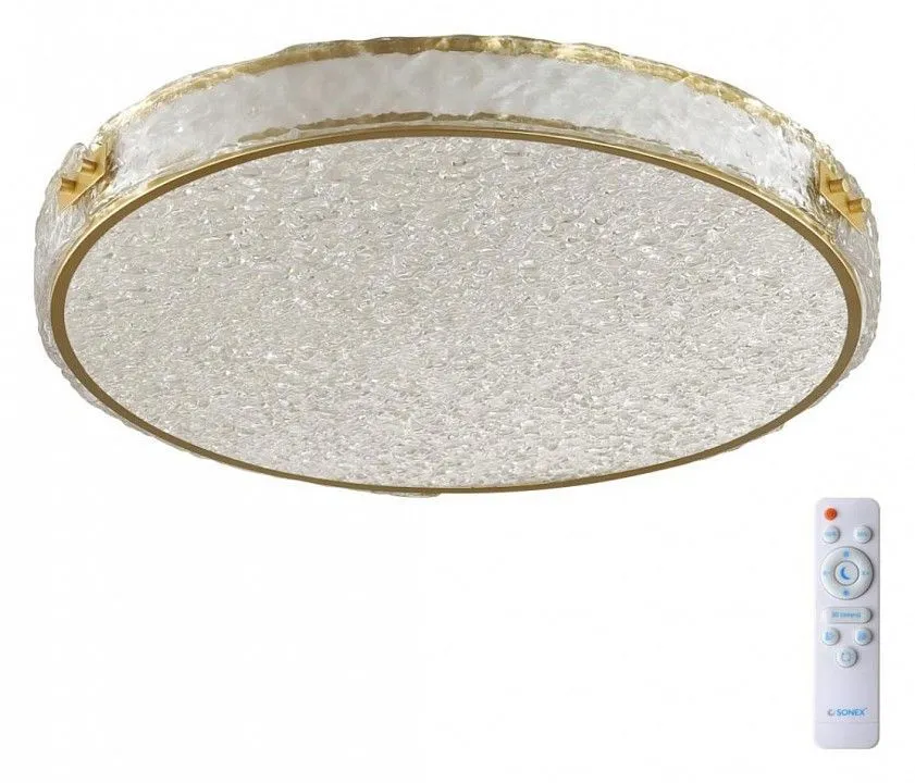 Накладной светильник Sonex Felice 7722/100L