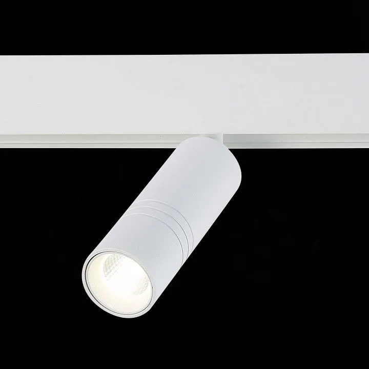 Светильник на штанге ST-Luce Lemmi ST365.546.12