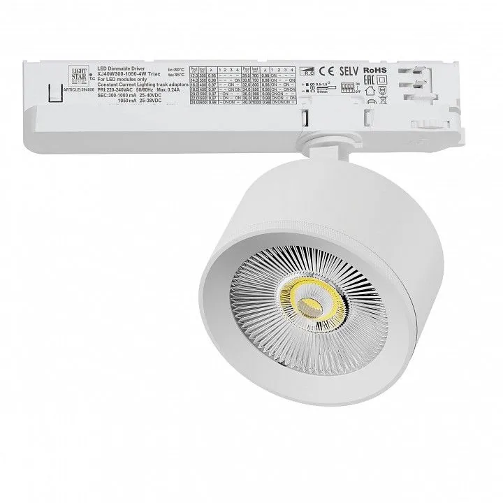 Светильник на штанге Lightstar Alta Pro A5546TRIAC