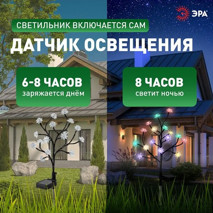 Наземный низкий светильник Эра  ERASF22-60