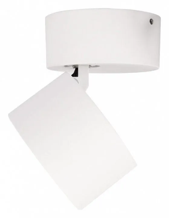 Спот Loft it Focus 10323/A White