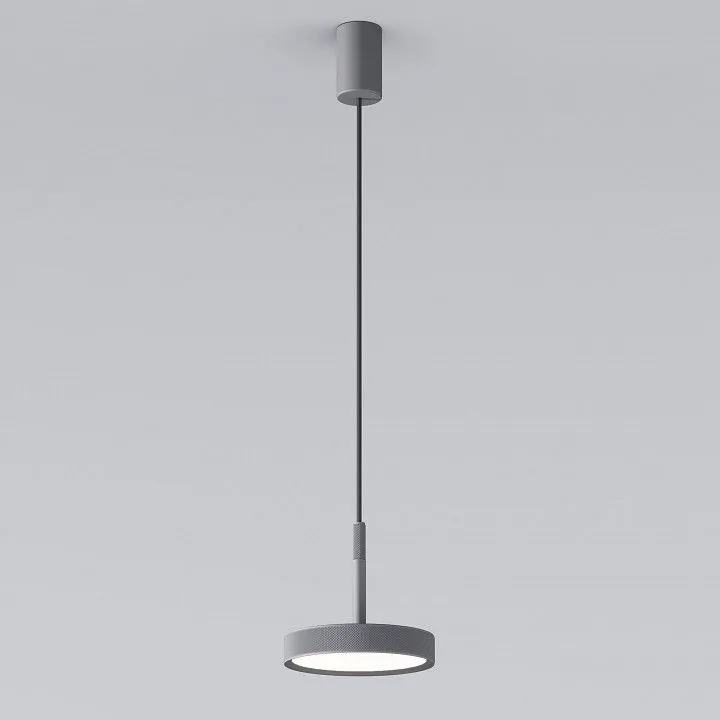 Подвесной светильник Elektrostandard Plate a065413