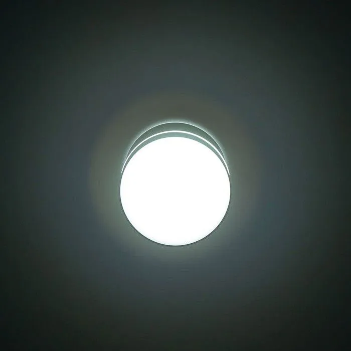 Накладной светильник Citilux Борн CL745021N