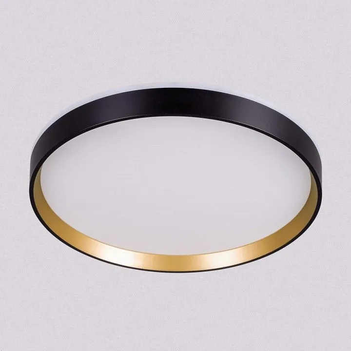 Накладной светильник Citilux ETALON CL750321R